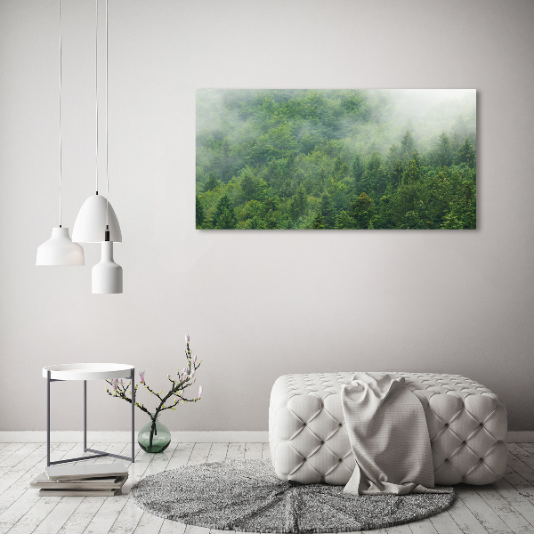 Acrylic wall picture Mysterious forest