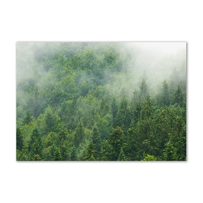 Acrylic wall picture Mysterious forest