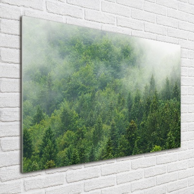 Acrylic wall picture Mysterious forest