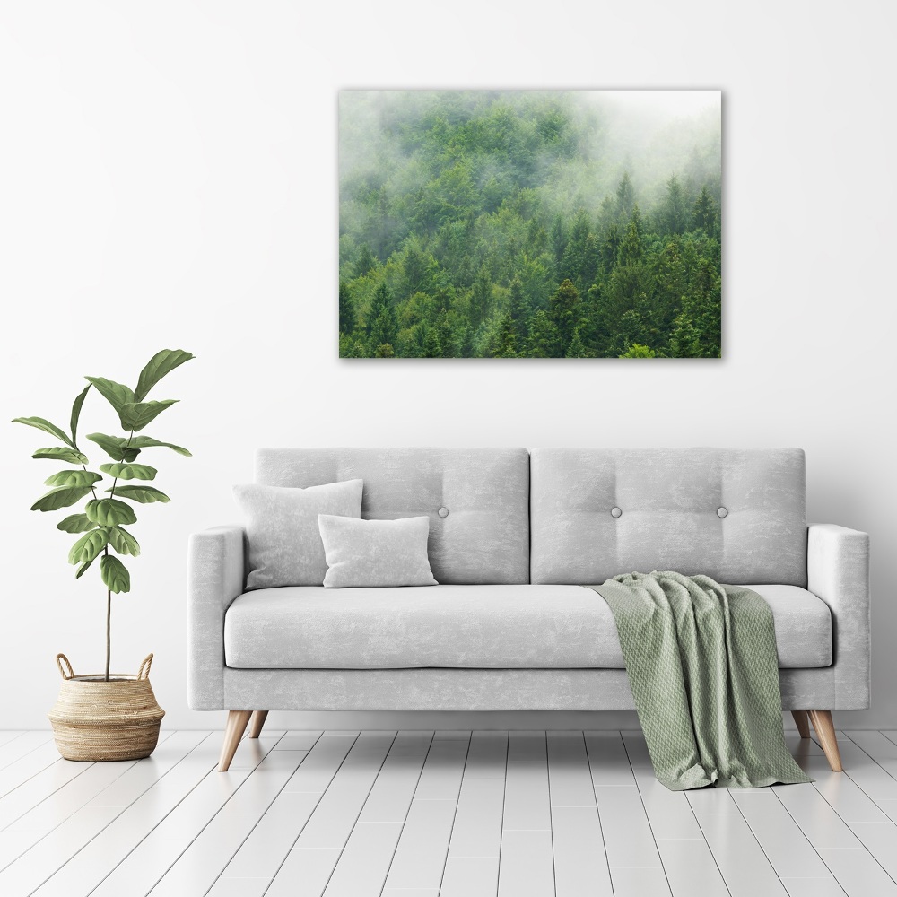 Acrylic wall picture Mysterious forest