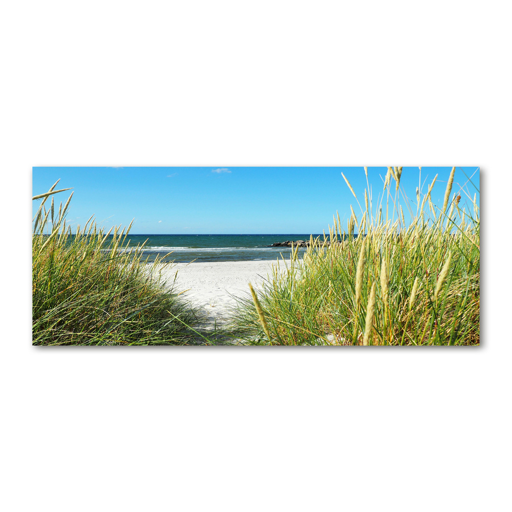 Acrylic wall art Coastal dunes