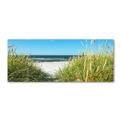 Acrylic wall art Coastal dunes