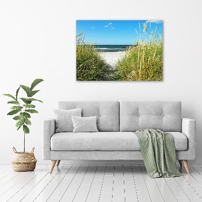 Acrylic wall art Coastal dunes