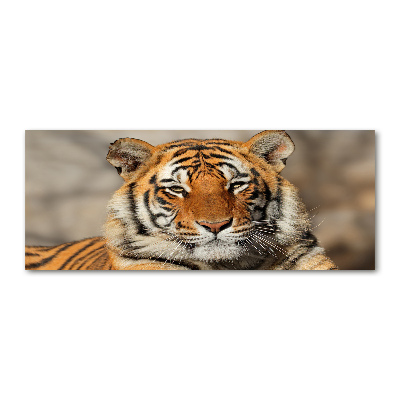 Wall art acrylic Bengal tiger