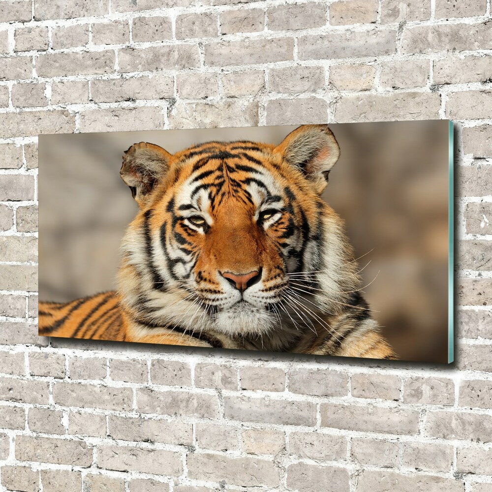 Wall art acrylic Bengal tiger