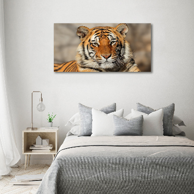 Wall art acrylic Bengal tiger