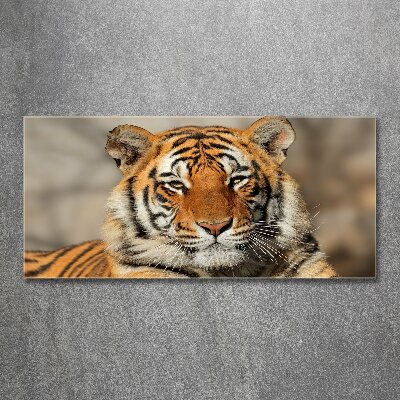 Wall art acrylic Bengal tiger