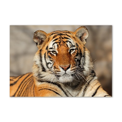 Wall art acrylic Bengal tiger