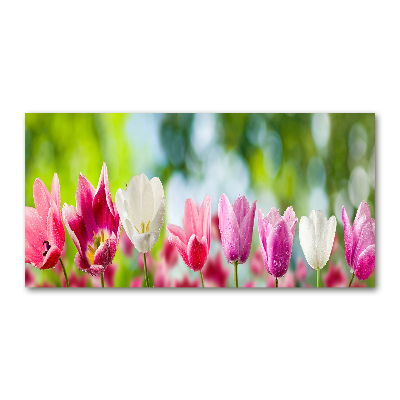 Acrylic wall picture Tulips