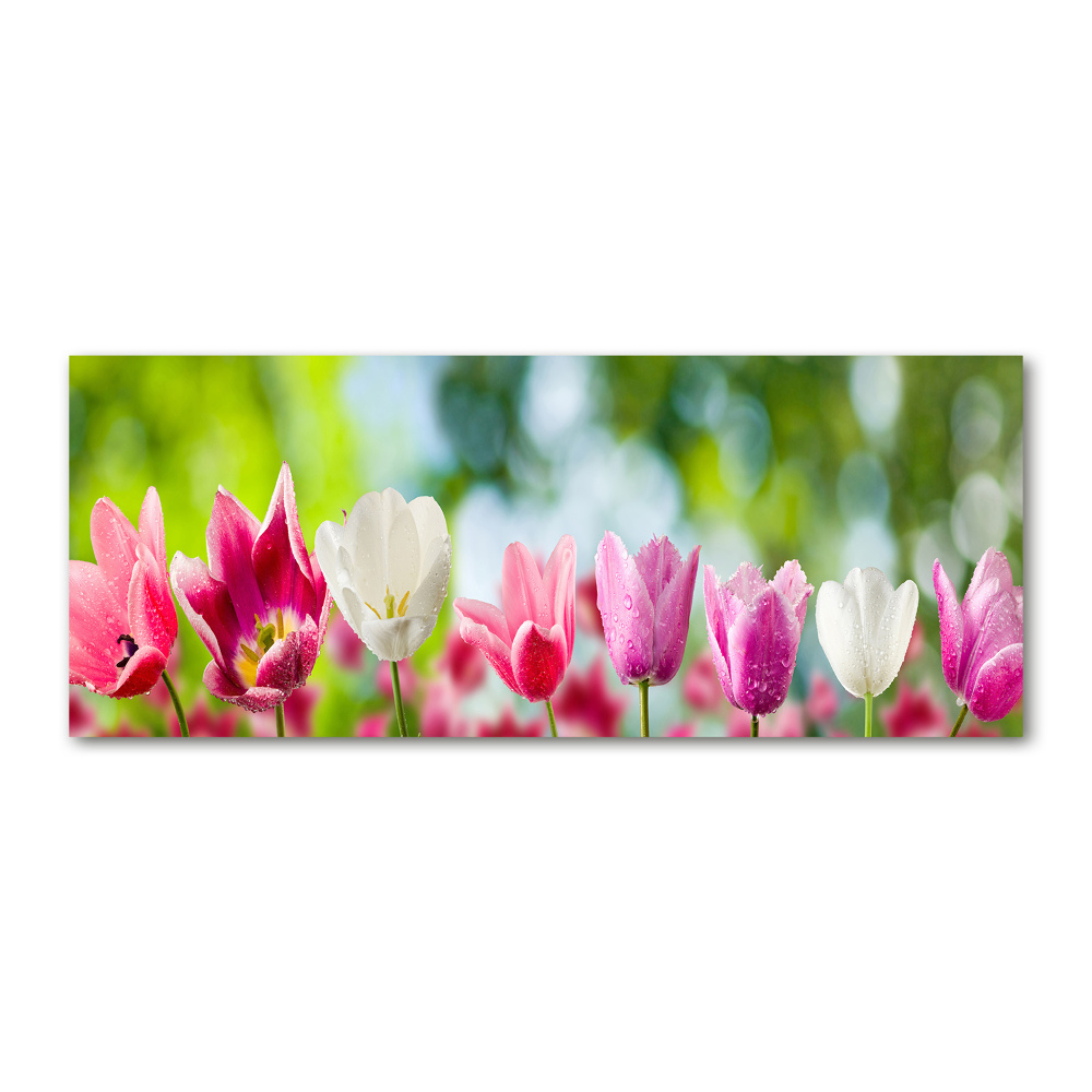 Acrylic wall picture Tulips