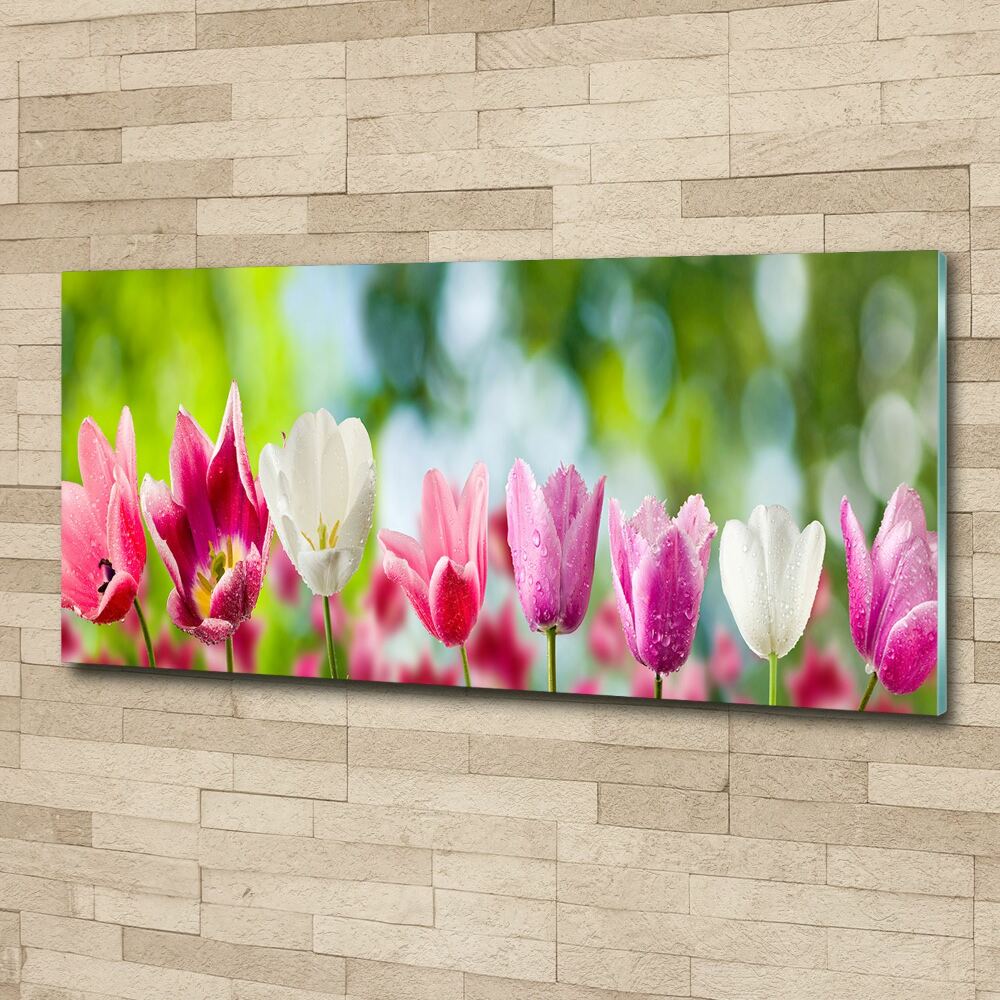 Acrylic wall picture Tulips