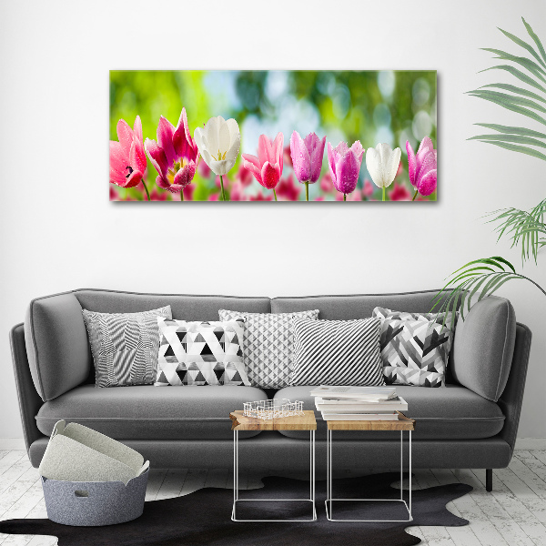 Acrylic wall picture Tulips