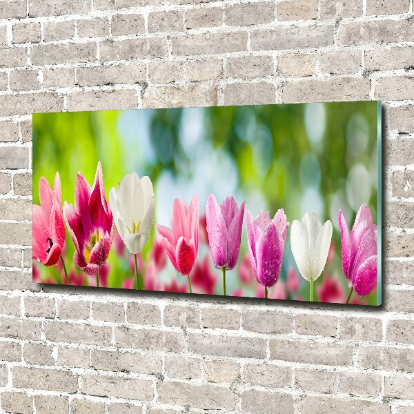 Acrylic wall picture Tulips