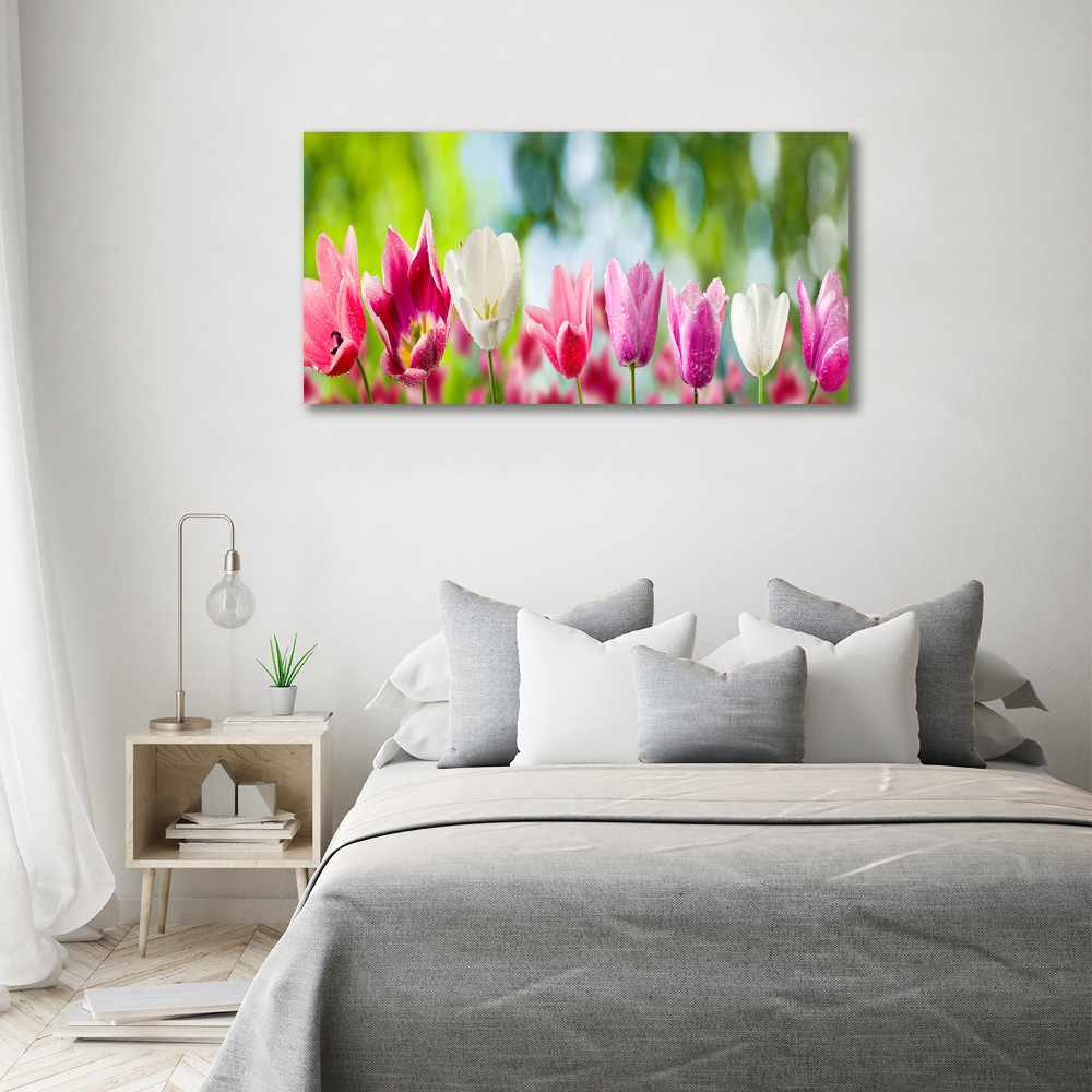 Acrylic wall picture Tulips