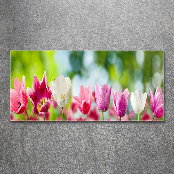 Acrylic wall picture Tulips