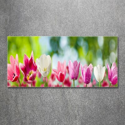 Acrylic wall picture Tulips