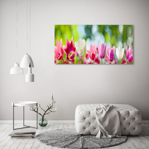 Acrylic wall picture Tulips