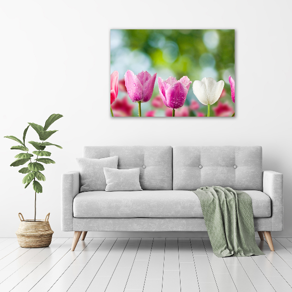 Acrylic wall picture Tulips