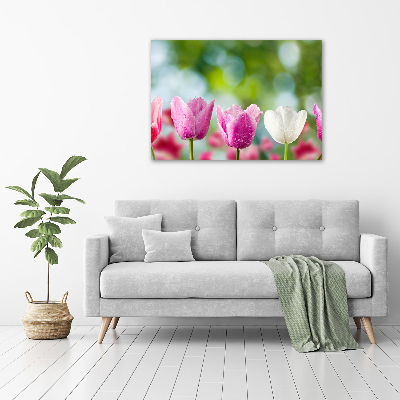 Acrylic wall picture Tulips