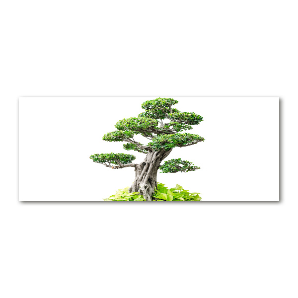 Acrylic wall picture Bonsai tree