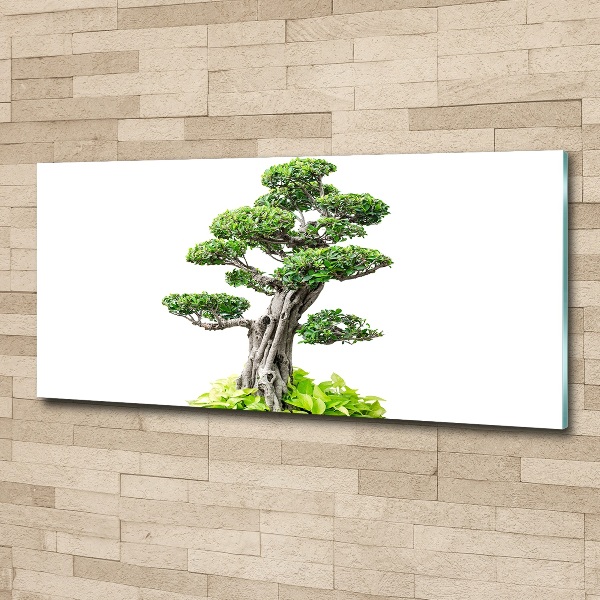 Acrylic wall picture Bonsai tree