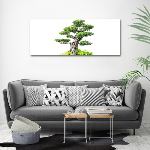 Acrylic wall picture Bonsai tree