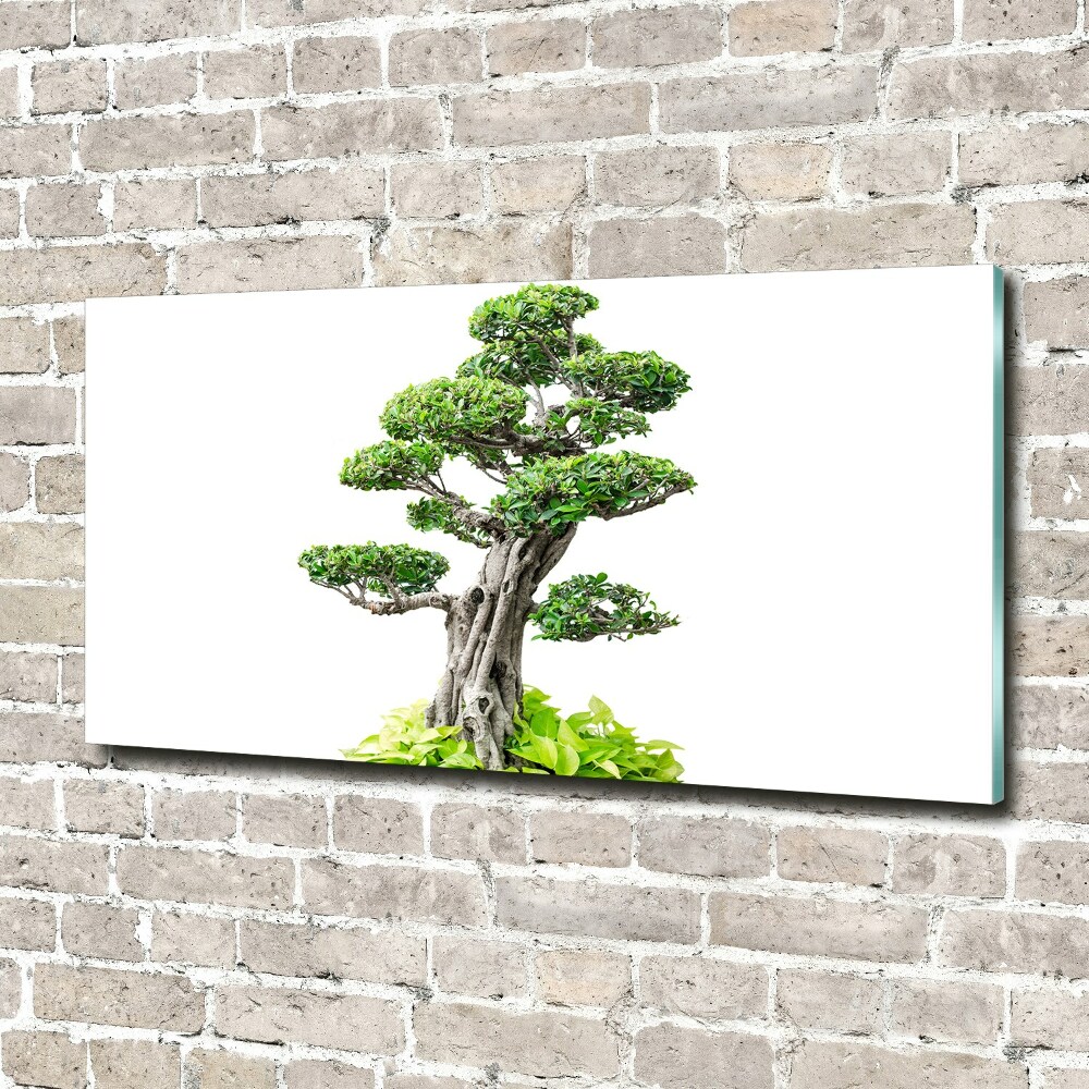 Acrylic wall picture Bonsai tree