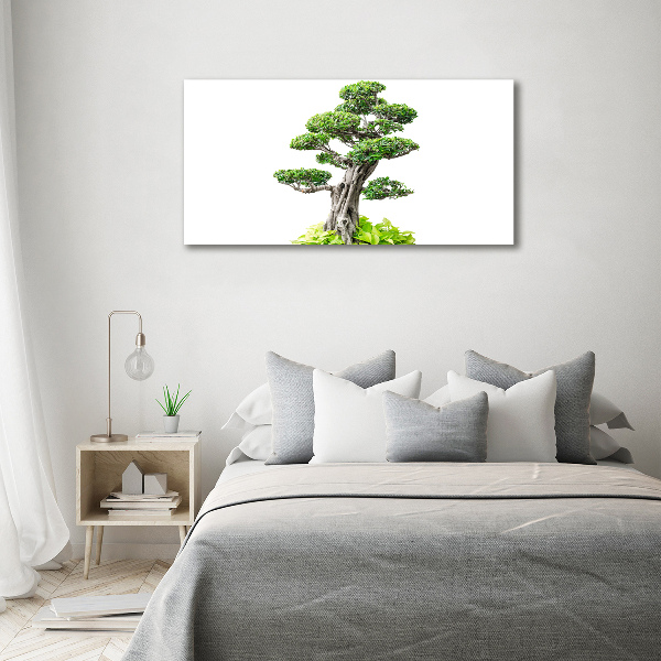 Acrylic wall picture Bonsai tree