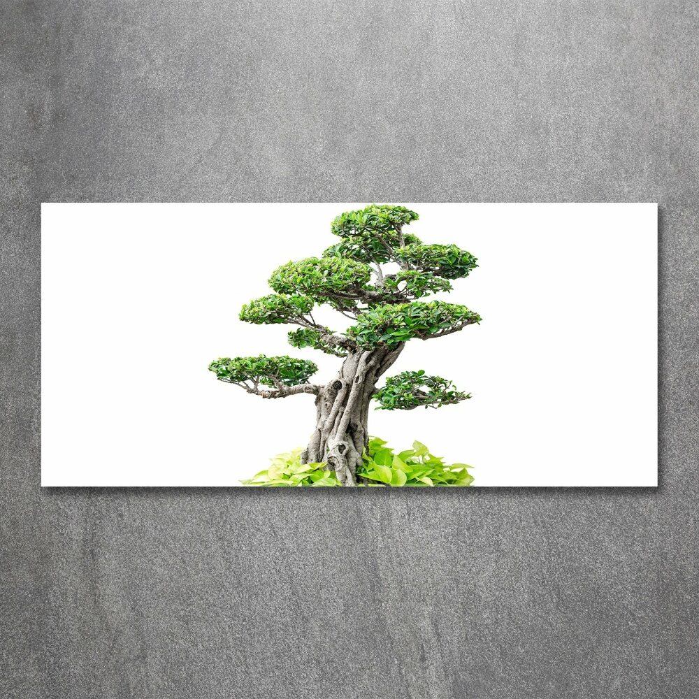 Acrylic wall picture Bonsai tree