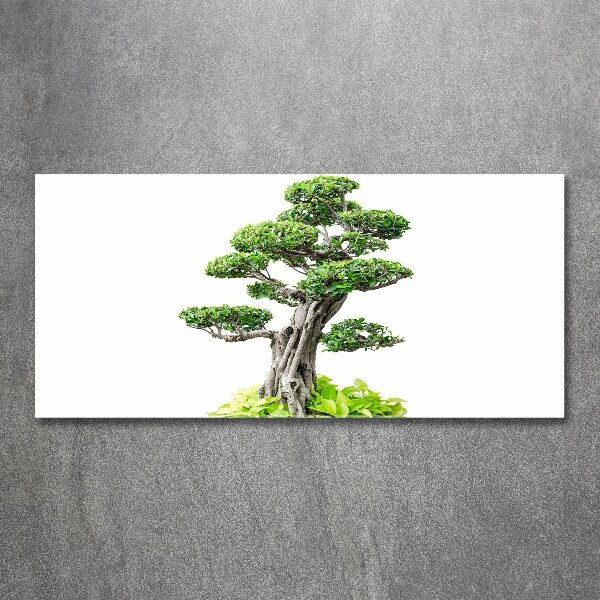 Acrylic wall picture Bonsai tree