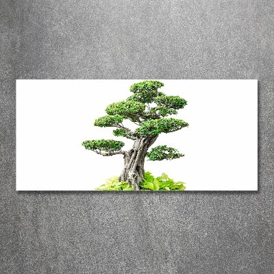 Acrylic wall picture Bonsai tree