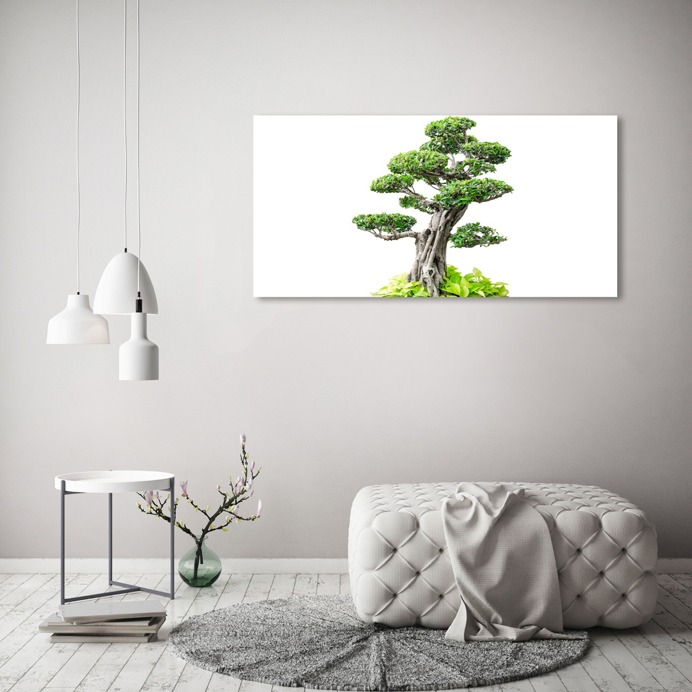 Acrylic wall picture Bonsai tree