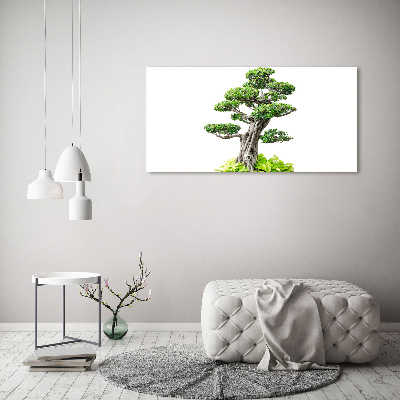 Acrylic wall picture Bonsai tree