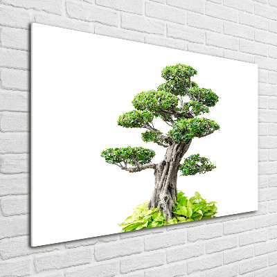 Acrylic wall picture Bonsai tree