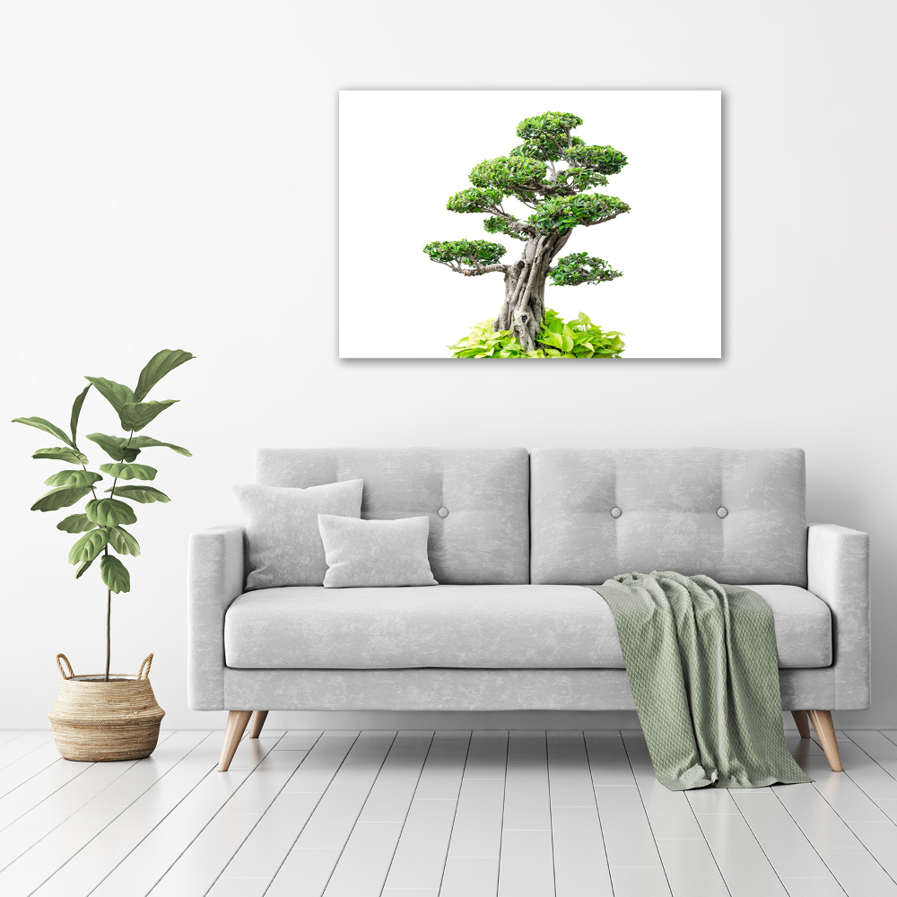 Acrylic wall picture Bonsai tree