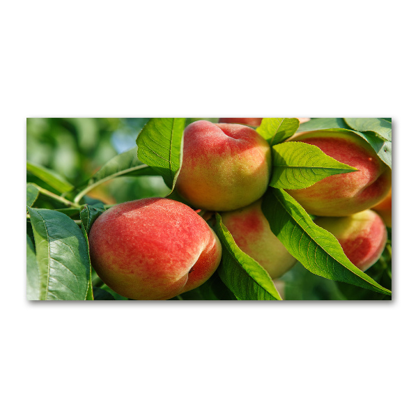 Wall art acrylic Peaches