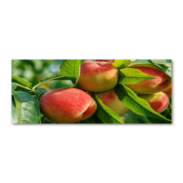 Wall art acrylic Peaches