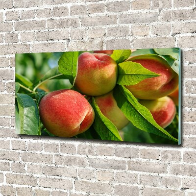 Wall art acrylic Peaches