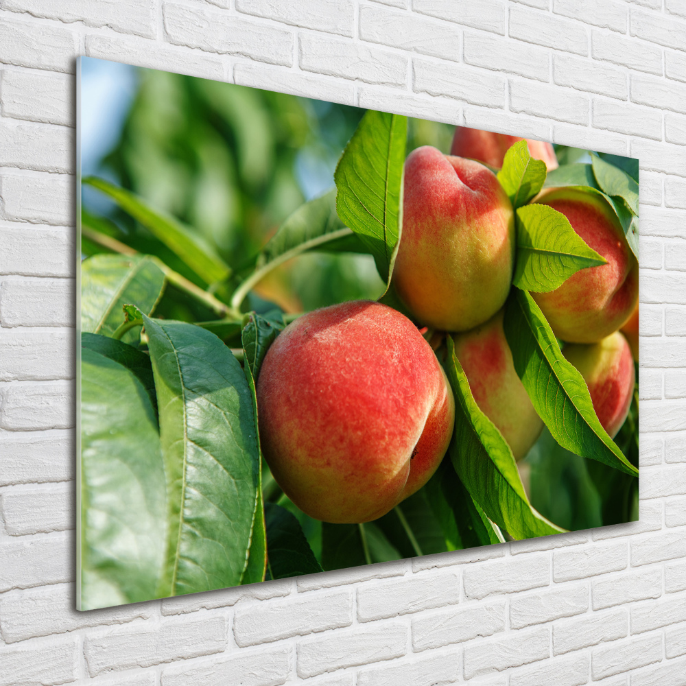 Wall art acrylic Peaches