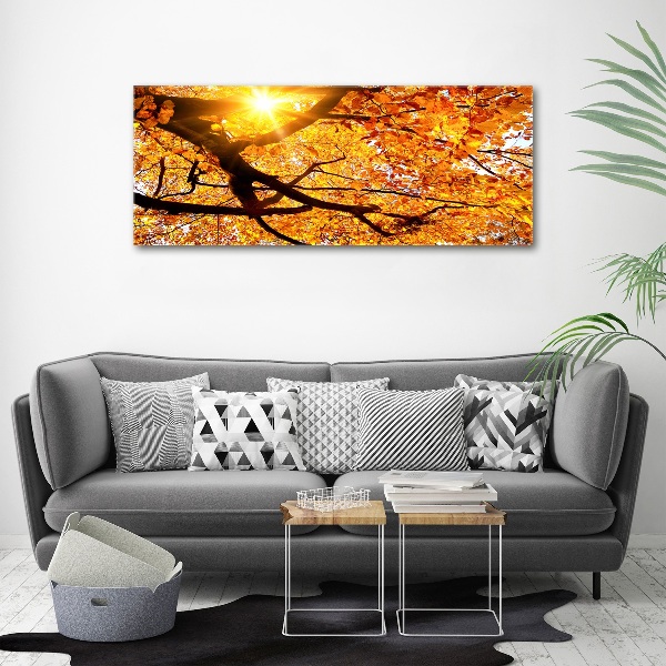 Print on acrylic Crown of trees autumn