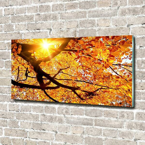 Print on acrylic Crown of trees autumn