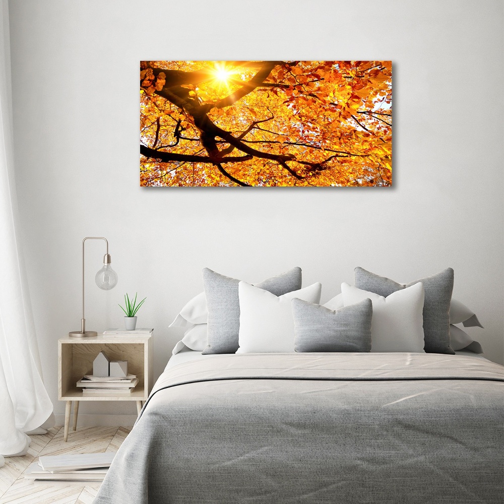 Print on acrylic Crown of trees autumn