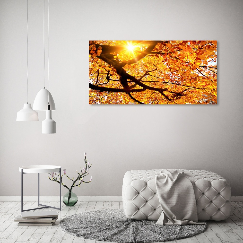 Print on acrylic Crown of trees autumn