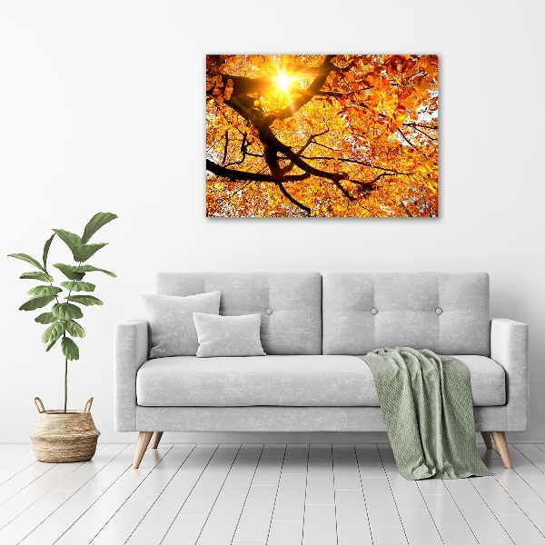 Print on acrylic Crown of trees autumn