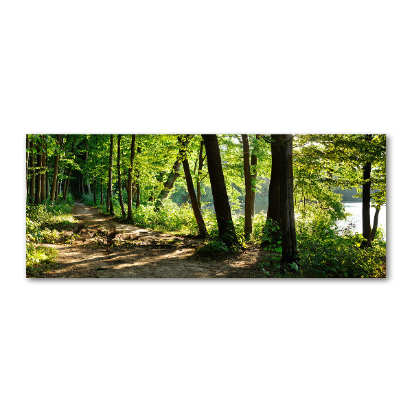 Print on acrylic Path in the meadow