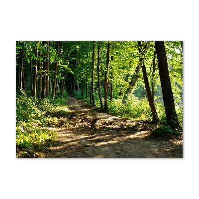 Print on acrylic Path in the meadow