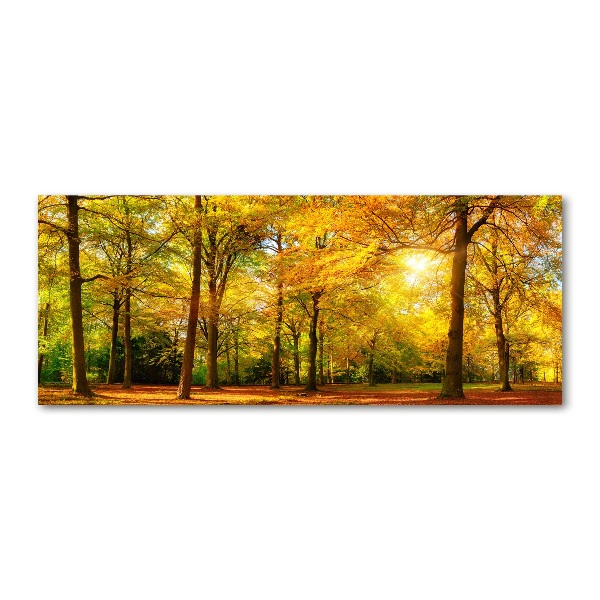 Print on acrylic Forest in autumn