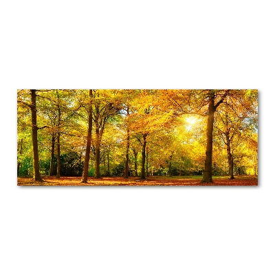 Print on acrylic Forest in autumn