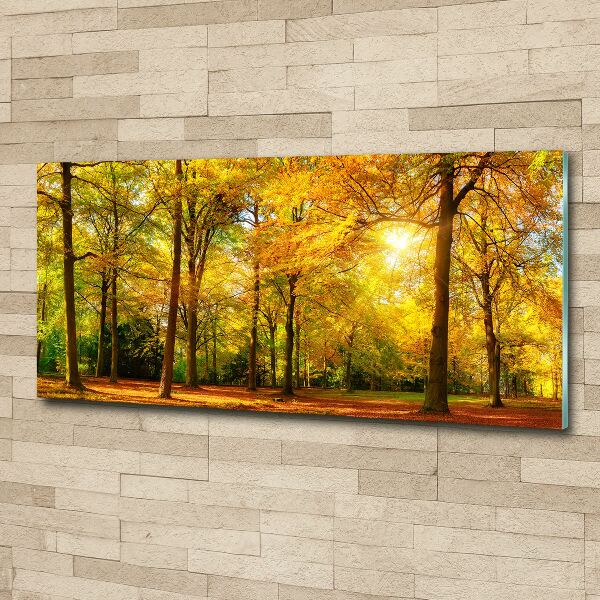 Print on acrylic Forest in autumn