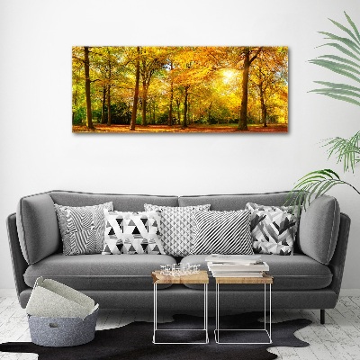 Print on acrylic Forest in autumn